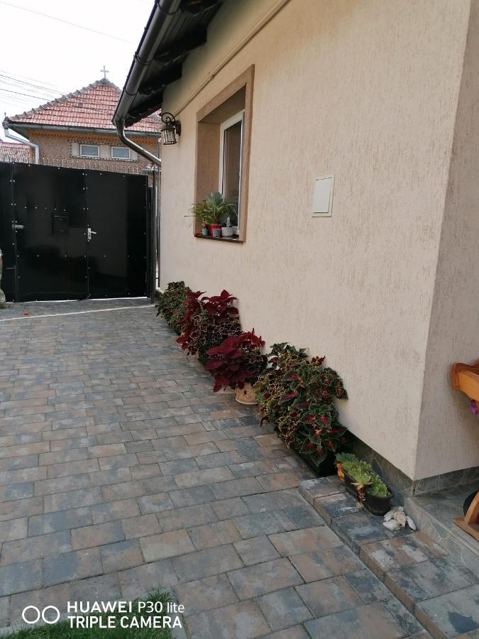 Rasnov Retreat Otel Dış mekan fotoğraf