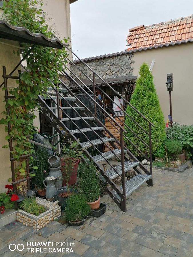 Rasnov Retreat Otel Dış mekan fotoğraf